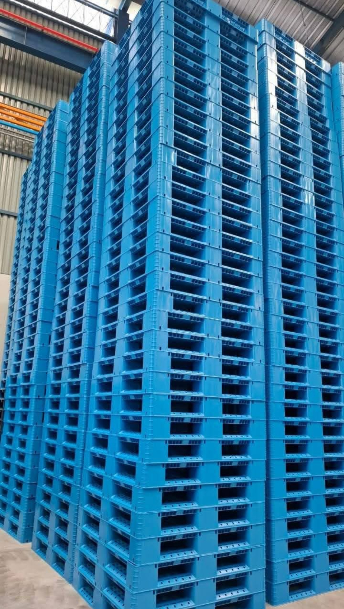 Pallet Plastik Tangerang