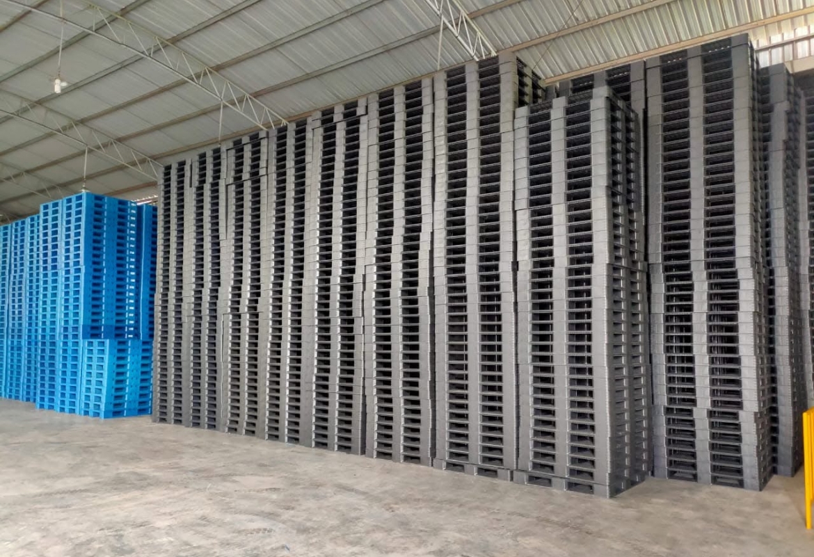 Pallet Plastik Rekondisi Terbaik