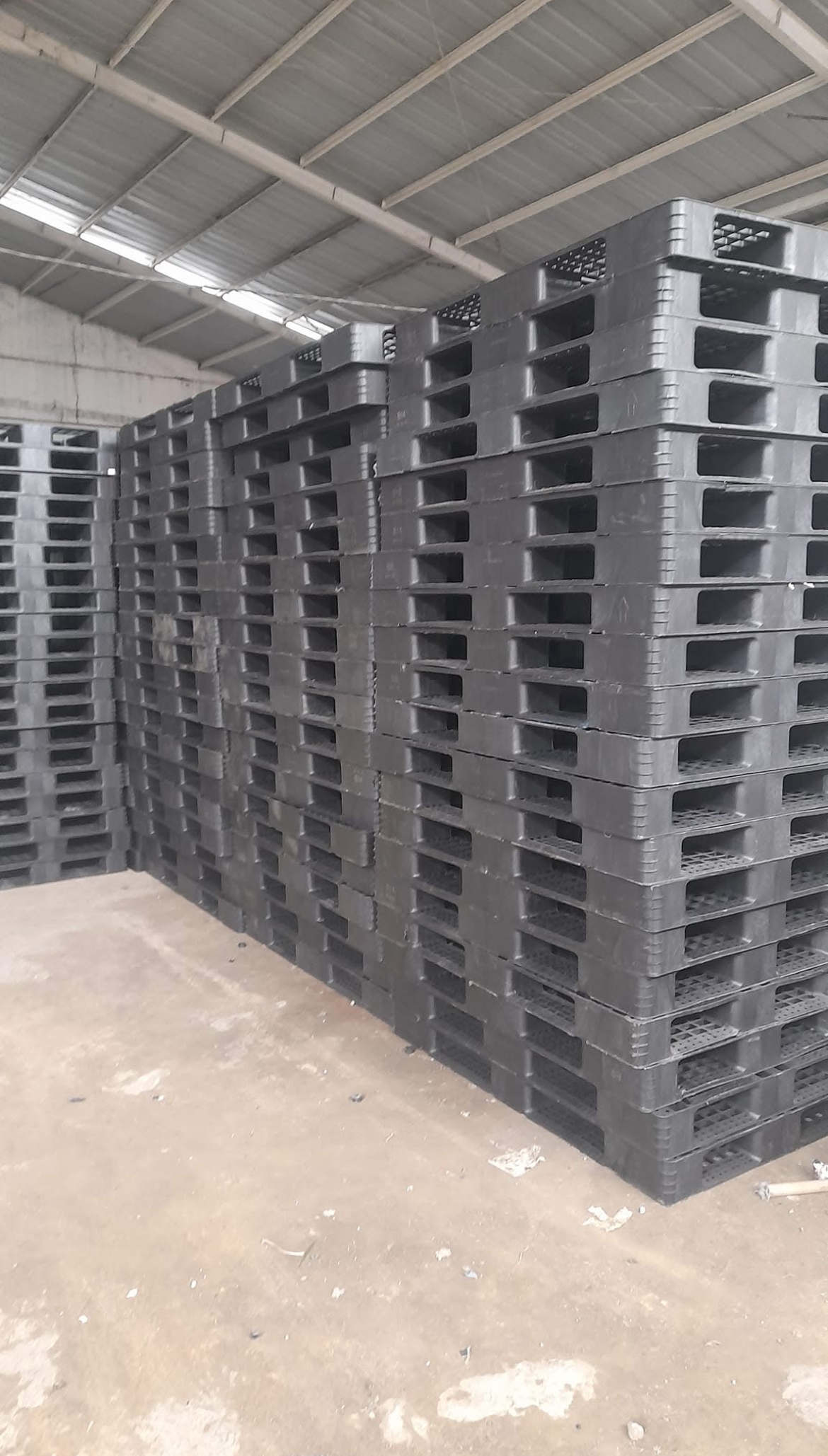 Harga Palet Plastik Terbaru 2025