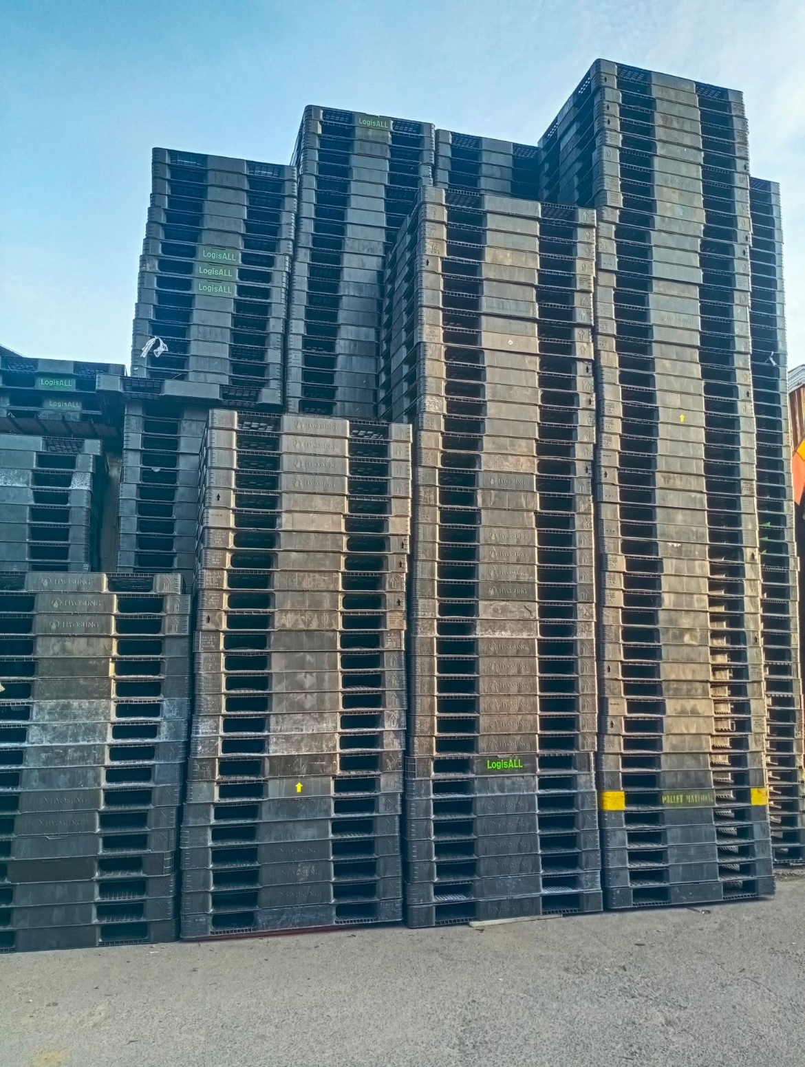 Keunggulan Pallet Plastik Bekas