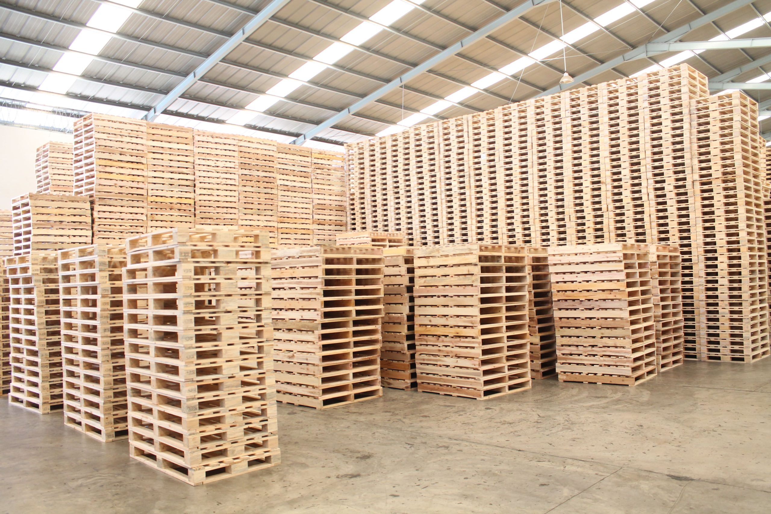 Panduan Lengkap Pembuatan Pallet Kayu Ekspor Standar ISPM 15 dan Proses Produksi